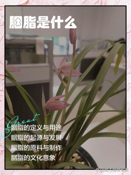 胭脂怎么用_胭脂前景如何