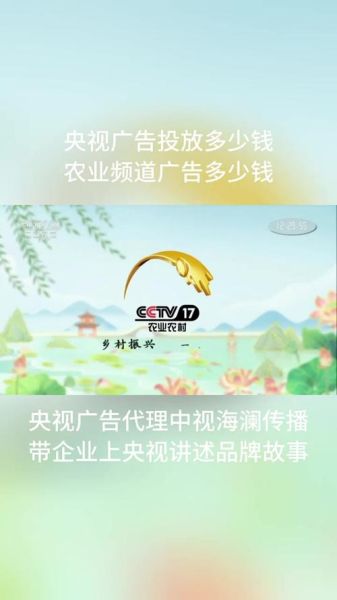 央视广告投放费用是多少_央视广告投放流程怎么走