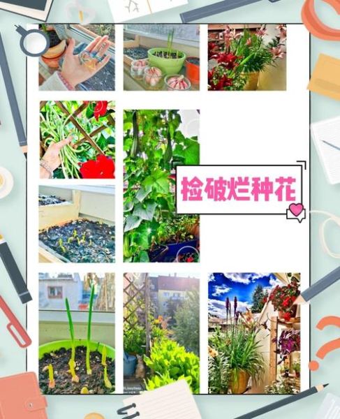 种菜花赚钱吗_2024年菜花种植前景怎么样