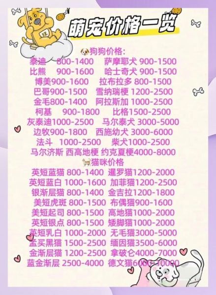 宠物店怎么选_新手养宠必备清单