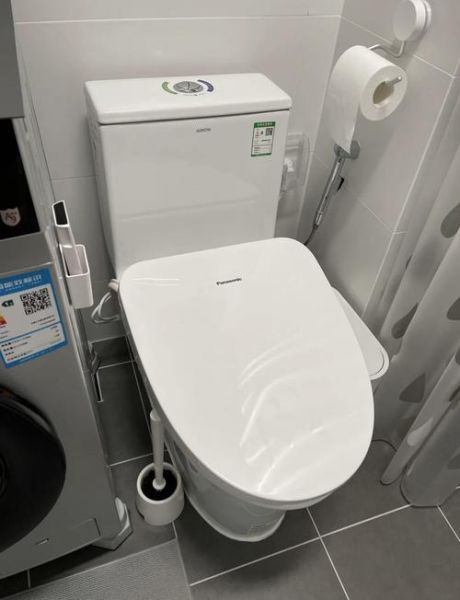 智能马桶盖哪个品牌好_智能马桶盖怎么选