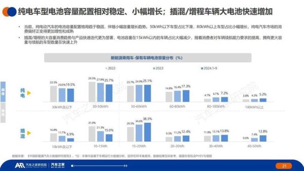 新能源汽车市场趋势_2024年购车指南