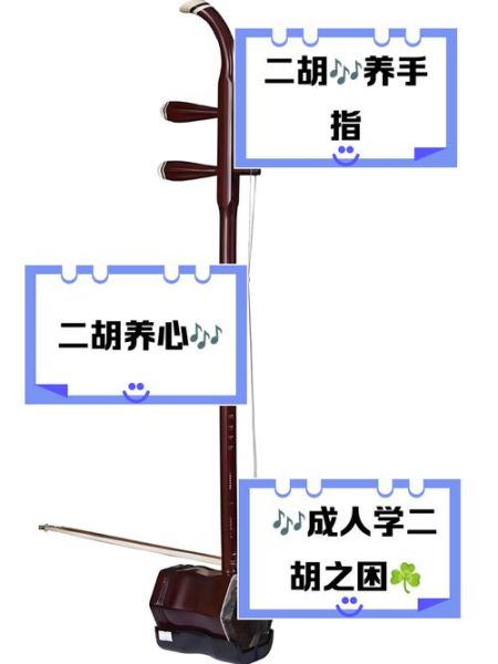 二胡前景怎么样_学二胡有前途吗