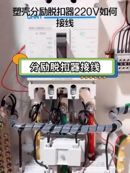 电子脱扣器工作原理_电子脱扣器选型指南