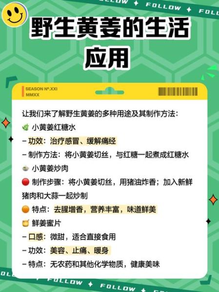 黄姜种植前景如何_黄姜市场前景分析