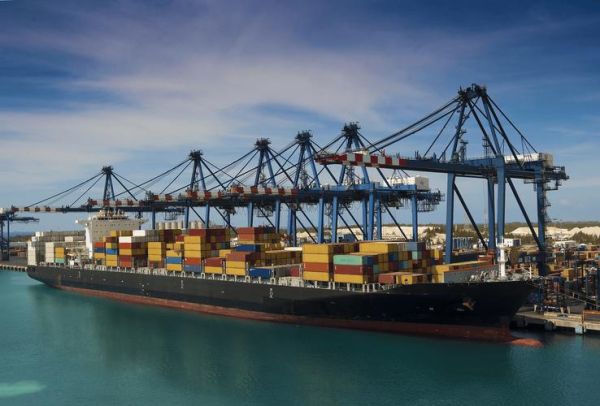 国际货运代理前景怎么样_2024年还能赚钱吗