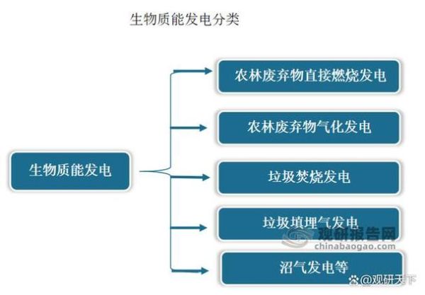 生物质能发电前景如何_生物质发电成本分析