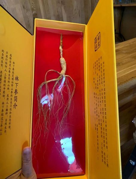 人参多少钱一斤_人参适合哪些人吃