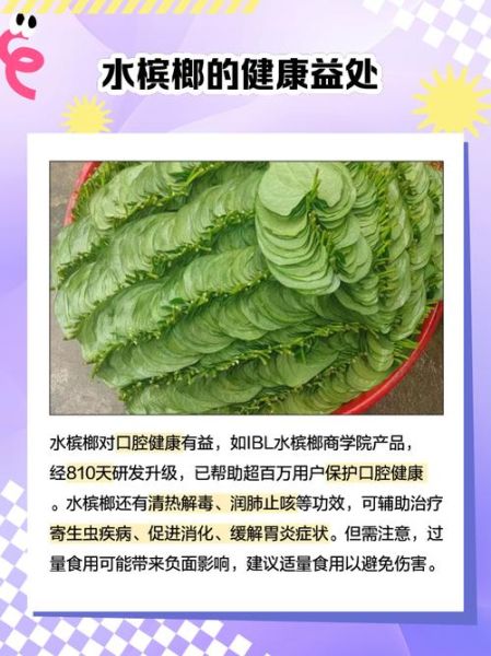 水槟榔前景怎么样_水槟榔加盟赚钱吗