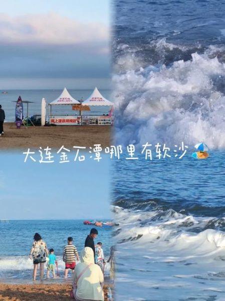 软沙前景怎么样_软沙适合种什么