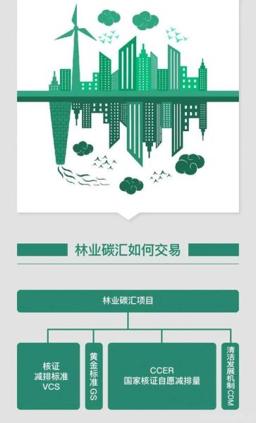 林业碳汇项目如何赚钱_林业碳汇开发流程