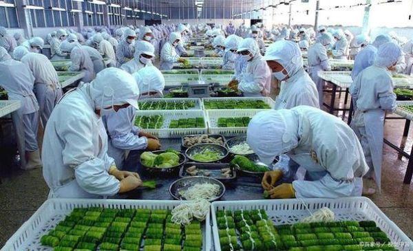 蔬菜加工前景如何_蔬菜加工赚钱吗