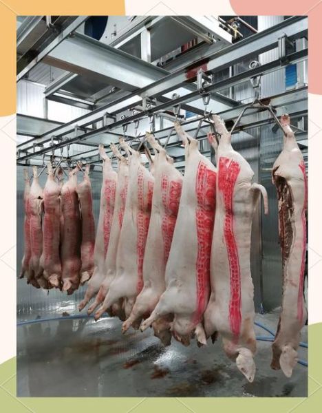 屠宰行业前景怎么样_屠宰场投资多少钱