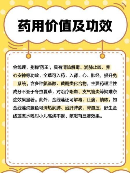 金线莲前景怎么样_金线莲种植赚钱吗