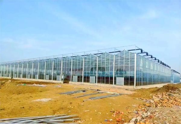 温室大棚未来赚钱吗_温室农业发展趋势