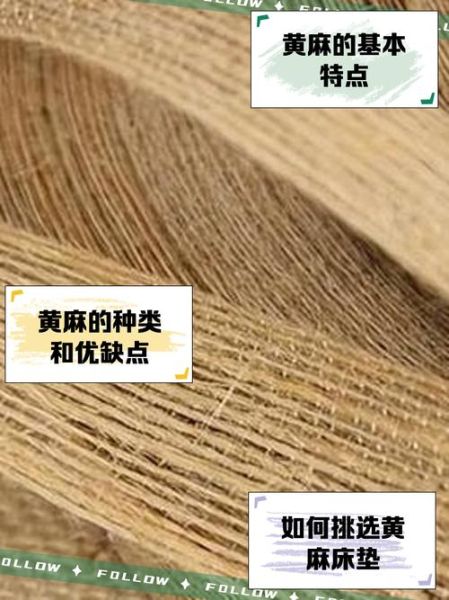 黄麻种植前景怎么样_黄麻价格走势预测