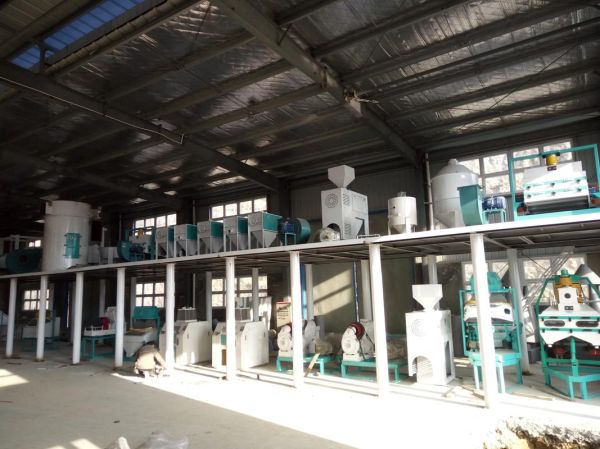 玉米种植前景如何_玉米深加工赚钱吗