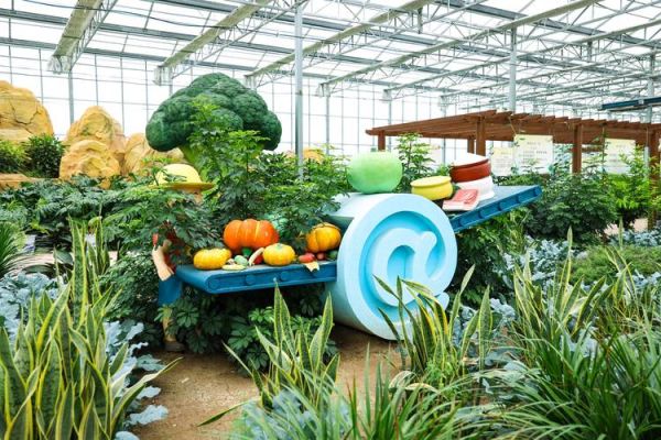 智慧农业发展前景怎么样_智慧农业有哪些应用场景