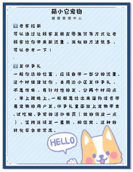 宠物行业SEO怎么做_宠物电商如何精准引流