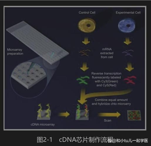 生物芯片未来应用_生物芯片行业前景如何