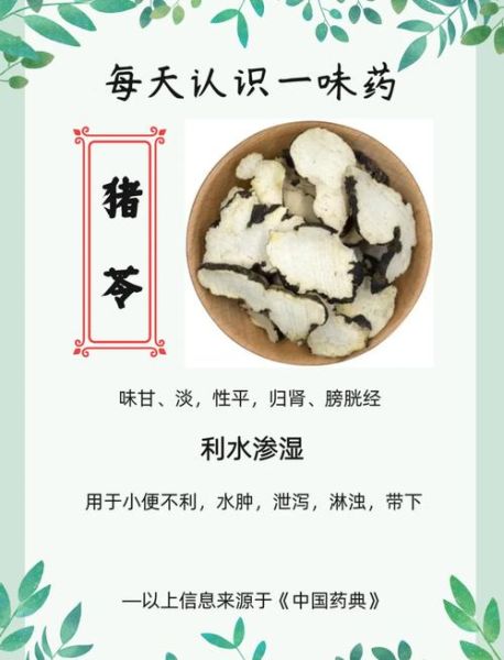 猪苓种植前景怎么样_猪苓价格走势如何