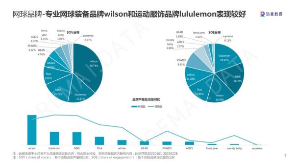 网球运动有前途吗_网球行业未来趋势