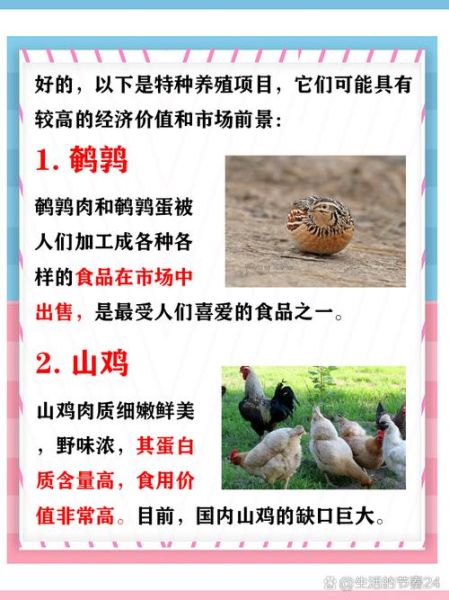 特种养殖业前景怎么样_特种养殖有哪些项目赚钱