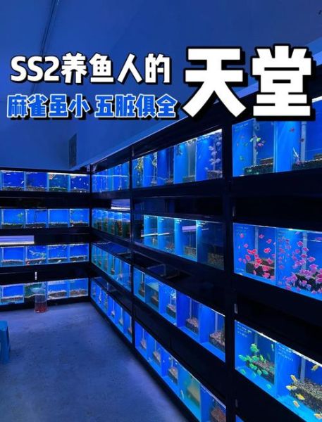 水族店赚钱吗_新手如何开水族店