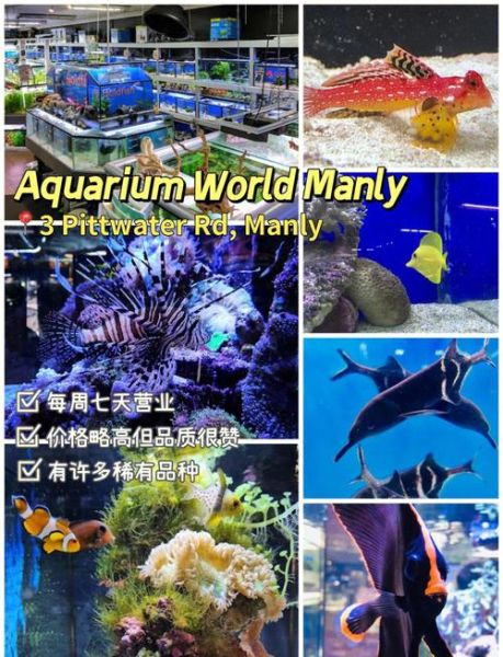 水族店赚钱吗_新手如何开水族店