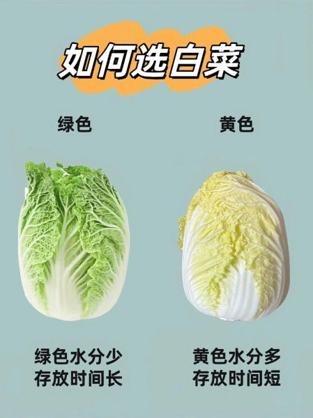 哪些蔬菜适合网购_网购蔬菜怎么选