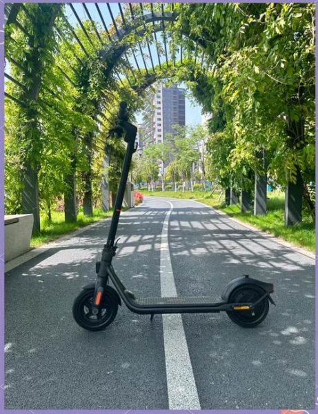 滑板车哪个牌子好_电动滑板车续航多久