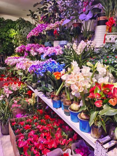 花卉前景如何_花卉行业赚钱吗