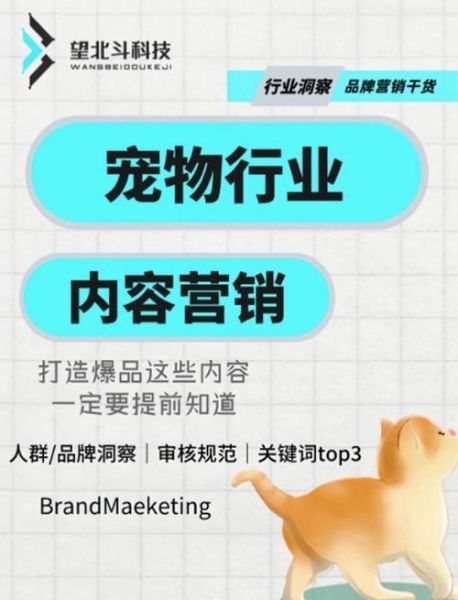 宠物行业现状如何_2024年宠物店还能赚钱吗