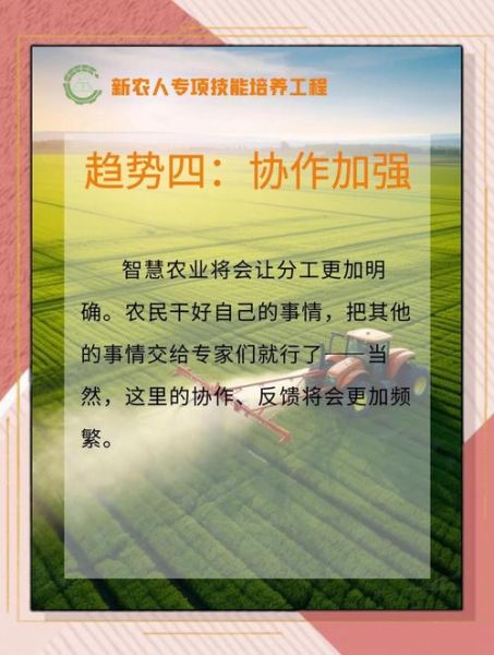 农业行业未来趋势_农业行业如何赚钱