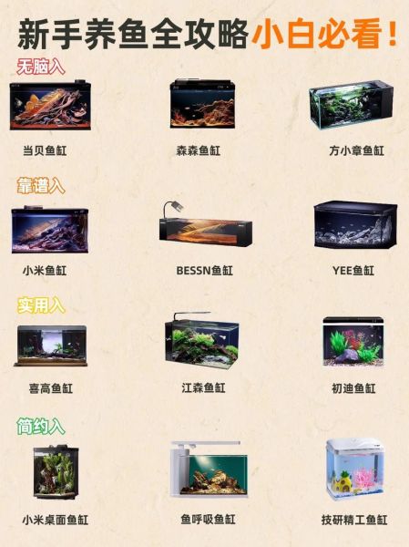 卖鱼缸赚钱吗_新手如何开鱼缸店