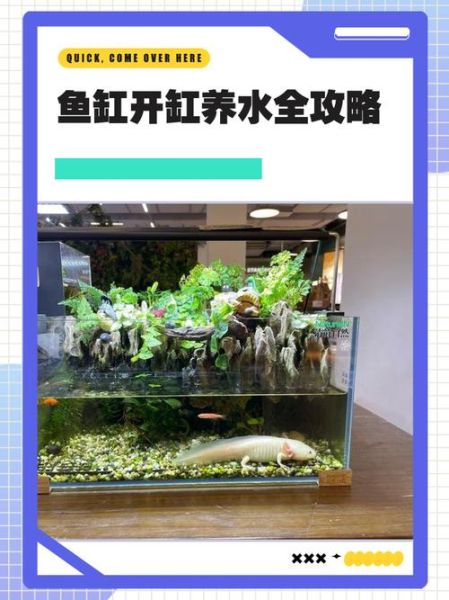 卖鱼缸赚钱吗_新手如何开鱼缸店