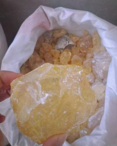 松香价格走势分析_松香用途有哪些