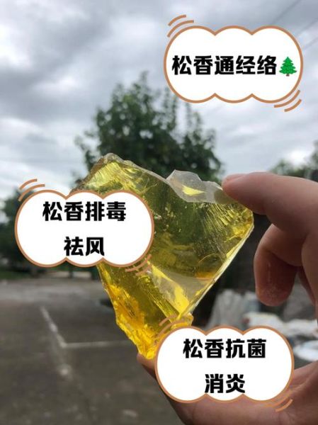 松香价格走势分析_松香用途有哪些