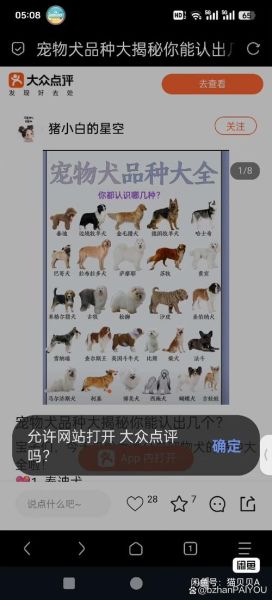 中国宠物网站如何选_中国宠物网站哪个靠谱