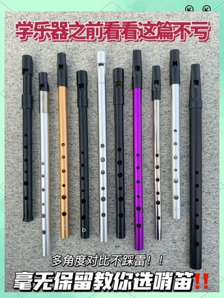 乐器行业前景怎么样_初学者如何选乐器