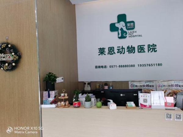 宠物医生怎么选_宠物医院哪家好