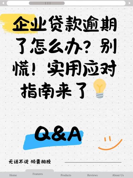 小额贷款逾期怎么办_如何降低贷款风险