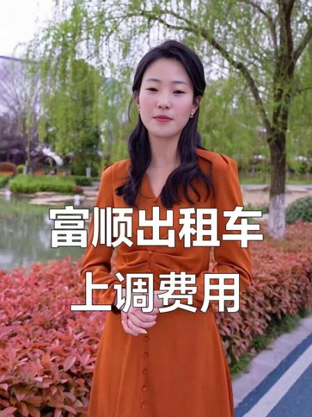 现在买出租车前景如何_出租车投资还能赚钱吗