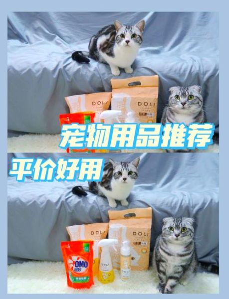 宠物用品怎么选_宠物用品哪个品牌好