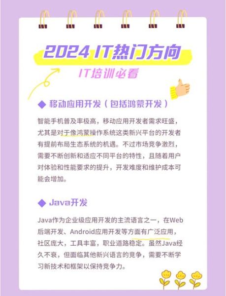 it行业前景怎么样_2024程序员转行方向