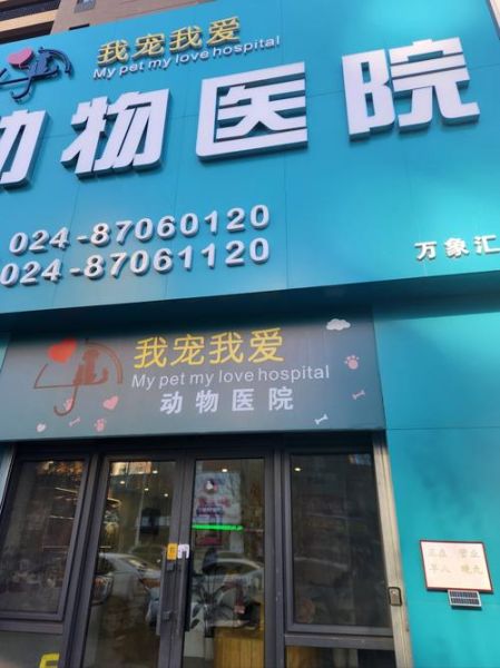 宠物医疗行业前景怎么样_宠物医院赚钱吗