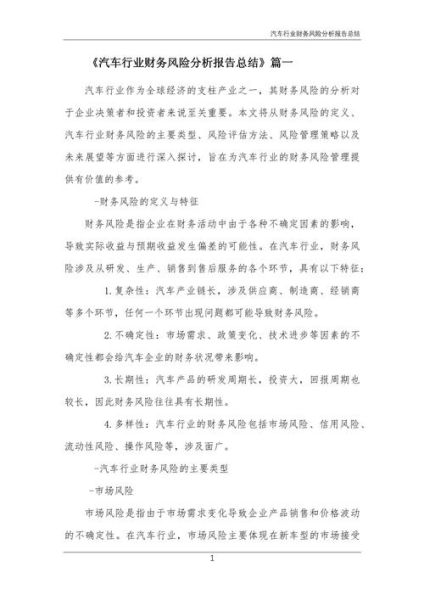 汽车行业财务分析报告怎么写_汽车行业财务分析报告模板