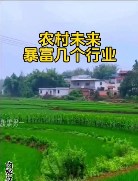 互联网新农村怎么赚钱_互联网新农村成功案例