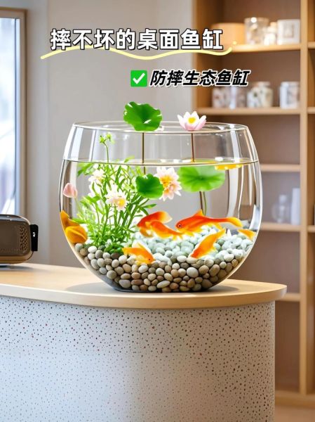 生态鱼缸前景怎么样_生态鱼缸值得投资吗