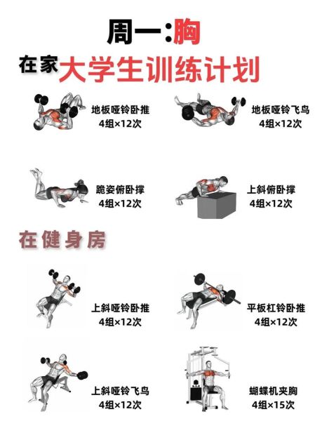健身初学者如何制定训练计划_健身饮食怎么搭配